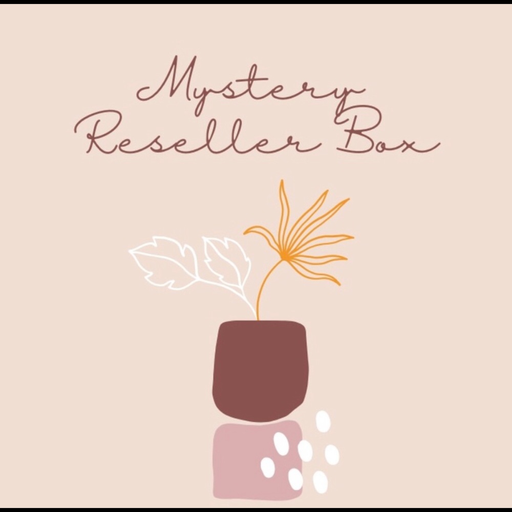 Mystery Reseller Box